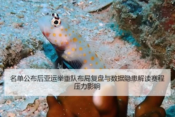 名单公布后亚运举重队布局复盘与数据隐患解读赛程压力影响